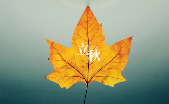 2025立秋就降温?秋后气温走势如何