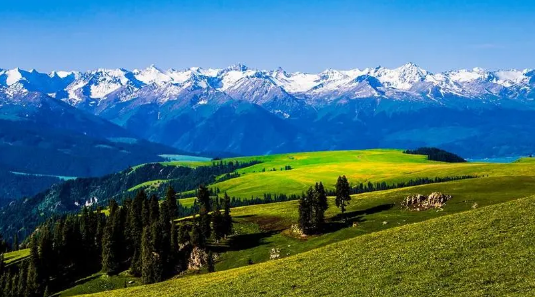 今冬新疆会冷吗2025?冰雪旅游热度如何