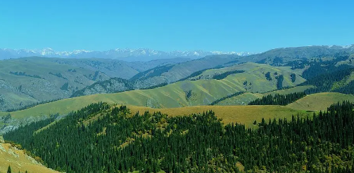 今冬新疆会冷吗2025?冰雪旅游热度如何