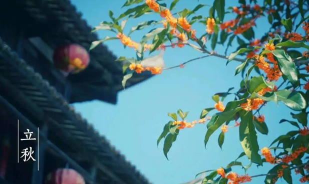 2025年立秋是白天还是黑夜？立秋后天气还热吗