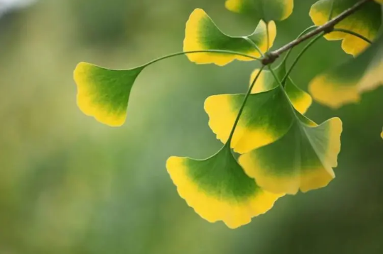 2025年立秋是白天还是黑夜?立秋后天气还热吗