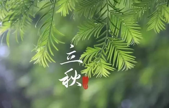 2025年立秋办酒席好吗？当天适合结婚摆酒吗