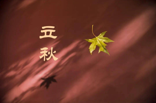 2025年立秋结婚好吗？秋日婚礼有何热门趋势？