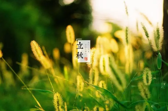 2025立秋在中伏天还热吗?秋后高温持续多久