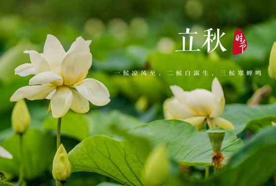 2025立秋后还热吗？秋老虎会持续多久