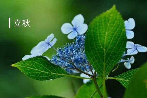 2025立秋后还热吗?秋老虎会持续多久