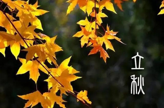 原问题？2025立秋农历六月有何说法