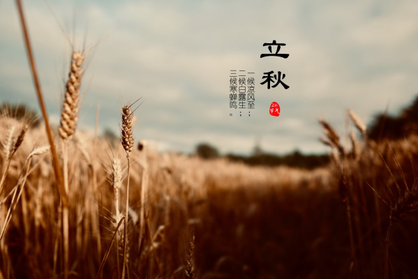 2025立秋在末伏之前热不热？秋老虎会更凶猛吗