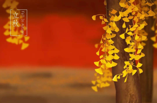 2025立秋在末伏之前热不热?秋老虎会更凶猛吗