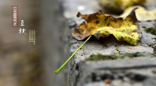 2025武汉立秋之后还热吗?秋老虎会持续多久