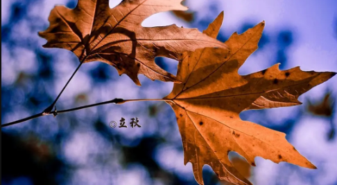 2025武汉立秋之后还热吗?秋老虎会持续多久