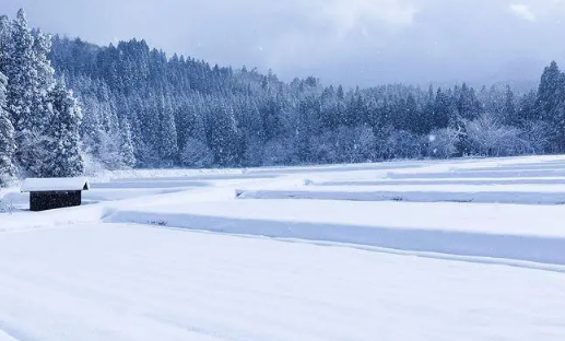 2025是暖冬还是冷冬？今冬气候预测如何