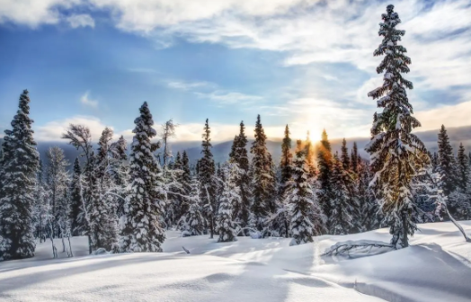 2025是暖冬还是冷冬?今冬气候预测如何