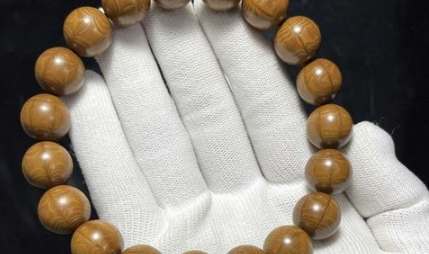 六道木贵吗?价格与价值如何平衡