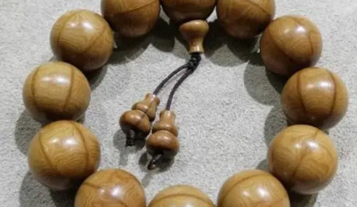 六道木会替人挡灾吗?它真的辟邪吗