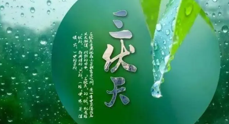 2025为什么喜欢三伏天晒背?晒背养生成新潮流?