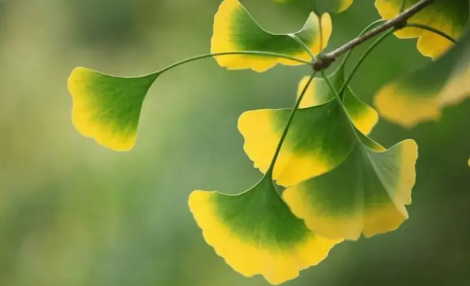 今年立秋热还是凉2025？秋后高温持续多久