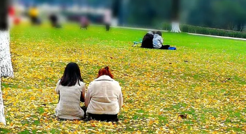 三伏天湿气重晒太阳有用吗?如何祛湿最有效