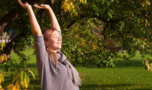 2025三伏天几点晒太阳最补阳气？哪个时段效果最佳