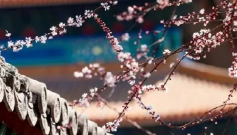 2025年农历六月立秋好不好?立秋后天气还热吗