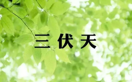 2025三伏天有润伏吗?润伏影响大吗