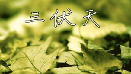 原问题?2025末伏会更热吗