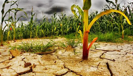厄尔尼诺对夏季影响大吗？今夏会更热吗