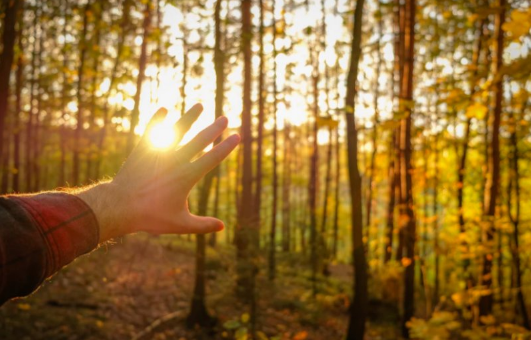 晒背要把背部露出来吗?如何正确晒背养生