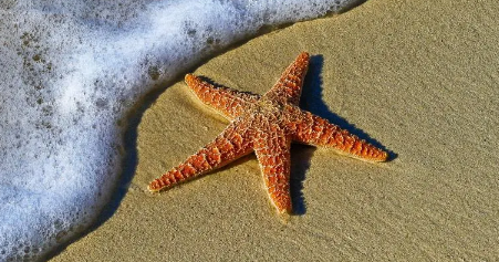 2025年武汉夏天热到几月?高温会持续多久?