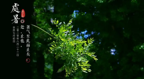 2025年处暑后还热吗？秋老虎会持续多久