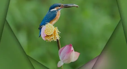 原问题?热点第二问题