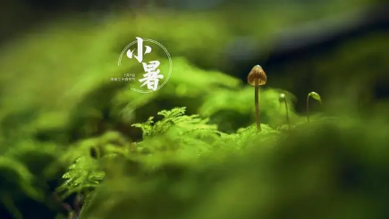 原问题?热点第二问题