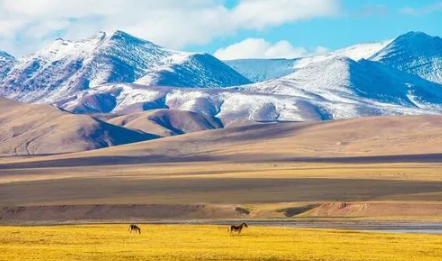 2025大西北7月热吗？高温天气如何应对？