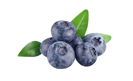 蓝莓榨汁营养会流失吗?如何保留更多营养