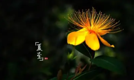 夏至每年同一天吗2025?夏至日期固定还是变化