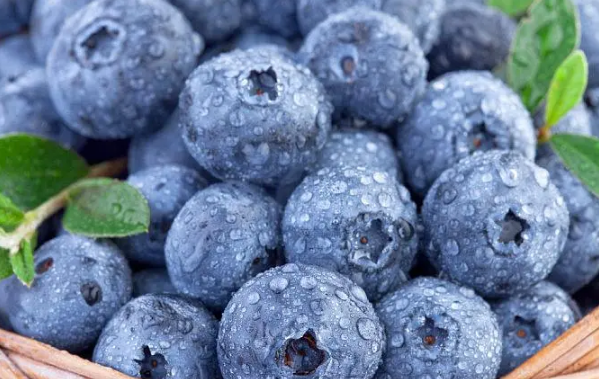 蓝莓没洗就吃了要紧吗?会感染寄生虫吗