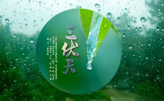 2025年三伏天何时开始?入伏时间如何影响养生?