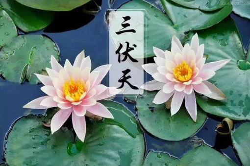 2025年三伏天何时?如何防暑降温?