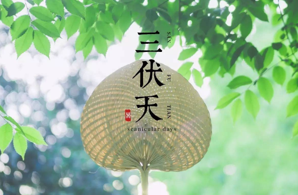 2025年三伏天何时?如何防暑降温?