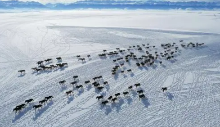 2025年6月去新疆热吗?夏季旅游天气如何