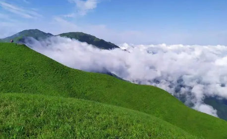 2025年五月下旬武功山草绿了吗?五一游客多吗