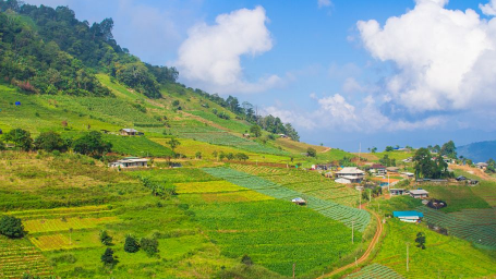 2025年五月下旬武功山草绿了吗?五一游客多吗