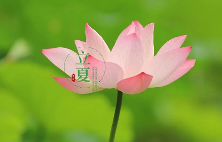 2025年立夏后会降温吗?倒春寒可能性多大