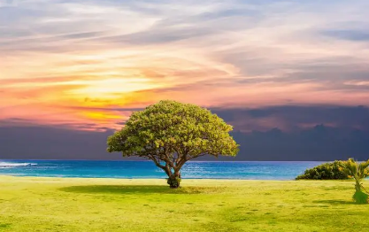 立夏了为啥还这么冷2025？冷夏成因与气候异常解析