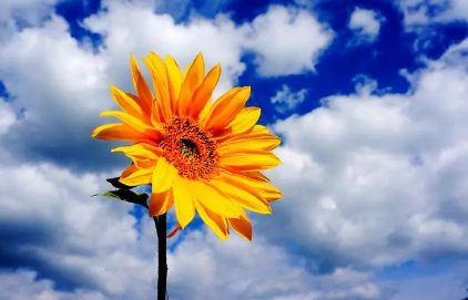 立夏了为啥还这么冷2025?冷夏成因与气候异常解析