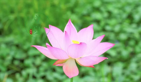 2025立夏热吗?今夏高温会破纪录吗