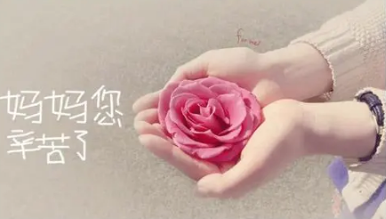 2025年母亲节送花吗?送什么花最流行