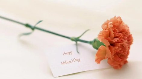 2025年母亲节送花吗?送什么花最流行