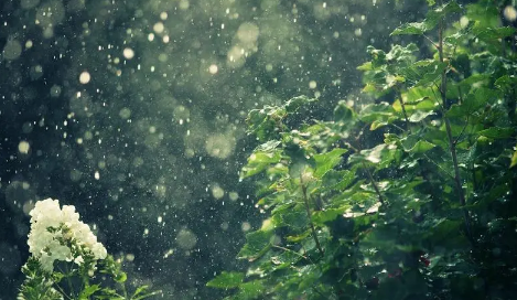 2025年青岛6月多雨吗?雨季出行如何准备