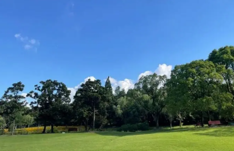 2025年上海夏天热得厉害吗?高温会破纪录吗